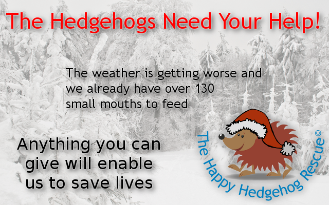 Please help the hedgehogs
